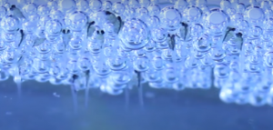Fry On Bubble Nest