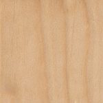 Birch